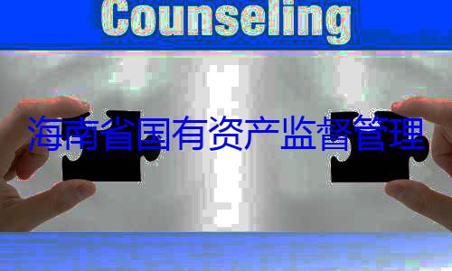 有福接受审查调查资产监督管海南省国有委副书记王理委员会党